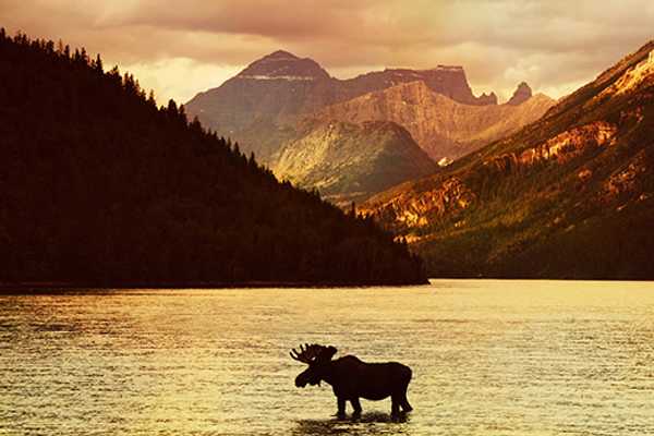 World-Class Hiking in Waterton Lakes National Park, Canada