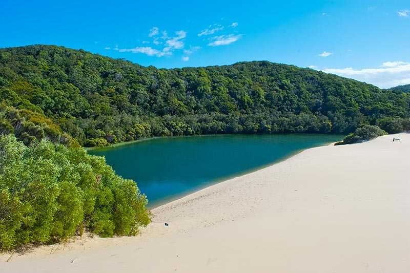 fraser-island-at-1840-km2-7104-sq-mi-fraser-island-is-the-largest-sand-island-in-the-world