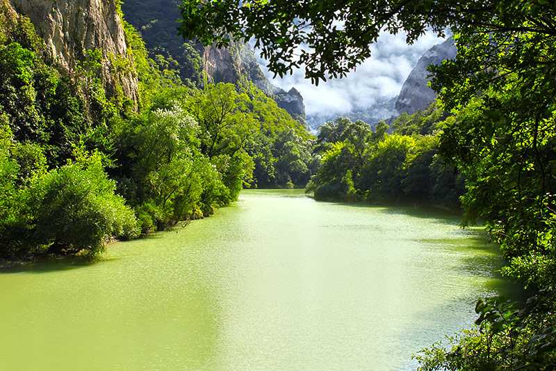 amazon-rainforest-amazon-river-and-lush-vegetation-in-summertime