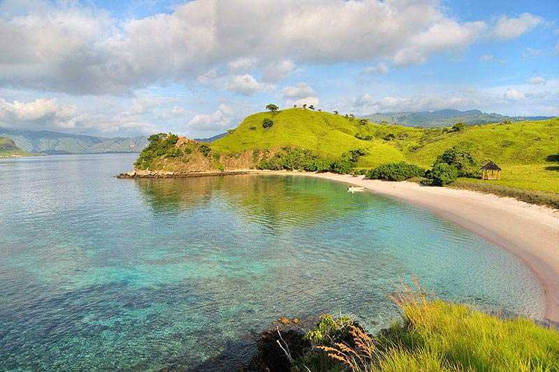 komodo-national-park-pink-beach-is-one-of-the-famous-tourist-destinations-in-komodo-national-park
