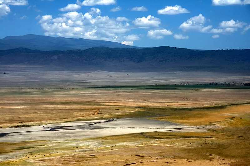 ngorongoro-crater-conservation-area-a-sunny-day-in-the-crater