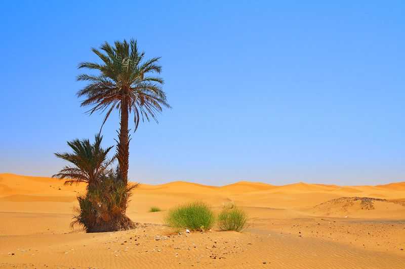 sahara-desert