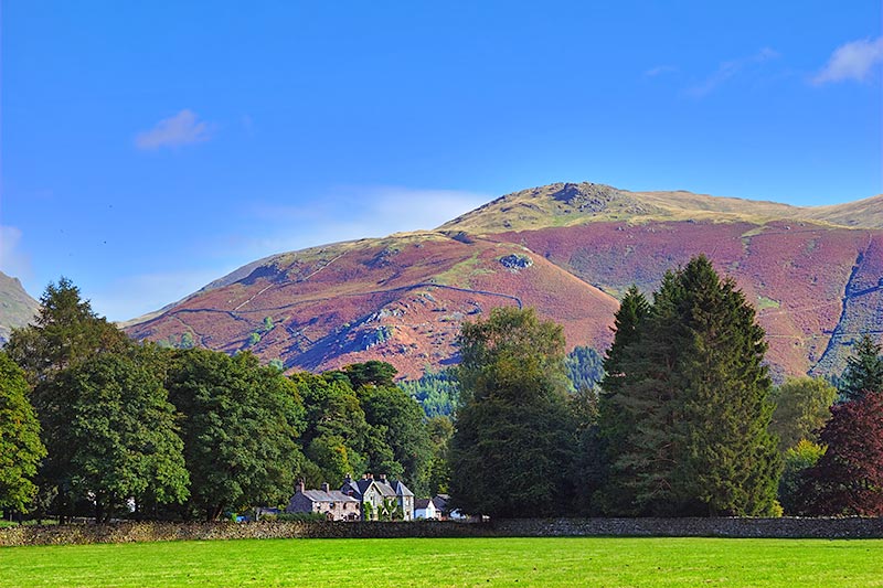 Stone Arthur Natureflip