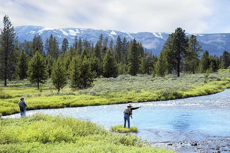 yellowstone-national-park-a-couple-fly-fishing-in-a-mountain-stream-near-yellowstone-national-park
