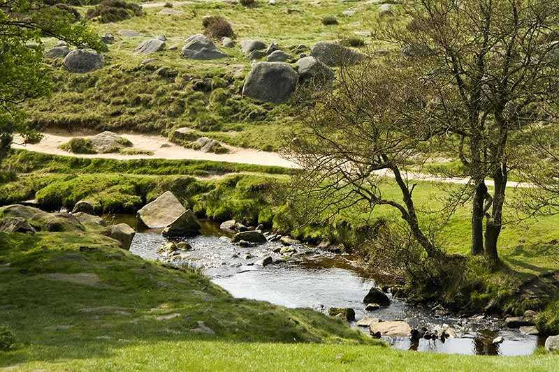 longshaw-country-park
