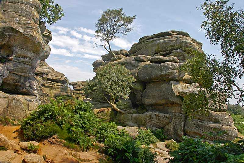 brimham-rocks-country-park