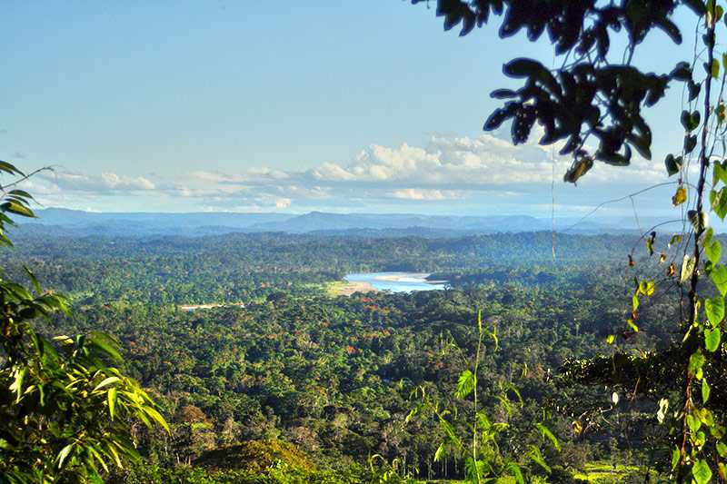 amazon-rainforest-part-of-amazon-rainforest-in-ecuador