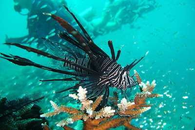 Komodo National Park | Natureflip