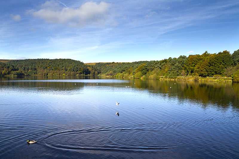 Ogden Water Country Park